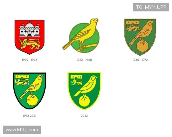 诺维奇足球俱乐部历史沿革、成就与未来发展展望